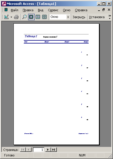 Окончательный вид отчета Access